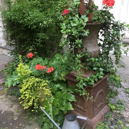 公寓 La Casa Sul Giardino- Garden House *