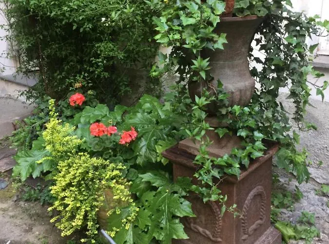 Apartmán La Casa Sul Giardino *
